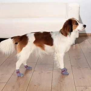Honden Sokken grijs