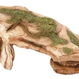 Desert rock L