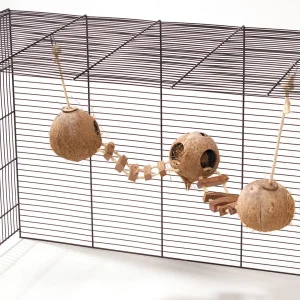 Coconut GlobeHouse met Ladder met touw