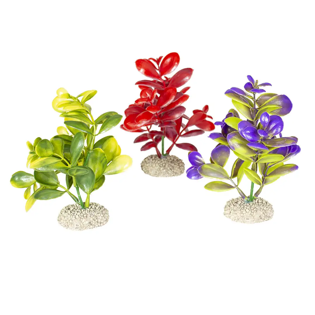 Kunstplant Crassula - Afbeelding 2