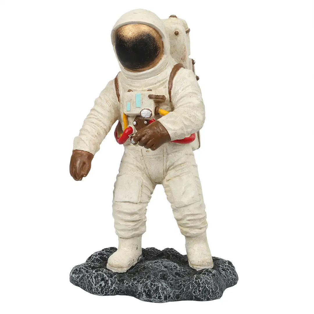 Ruimte Astronaut