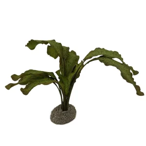 Kunstplant Echinodorus 1