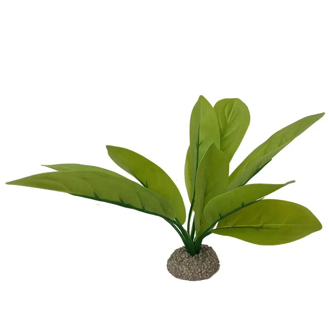 Kunstplant Echinodorus 3
