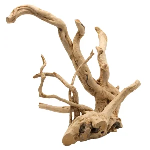 Driftwood Gepolijst Hout uit Azië