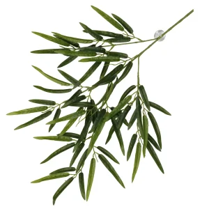 Hangende Plant Bamboe