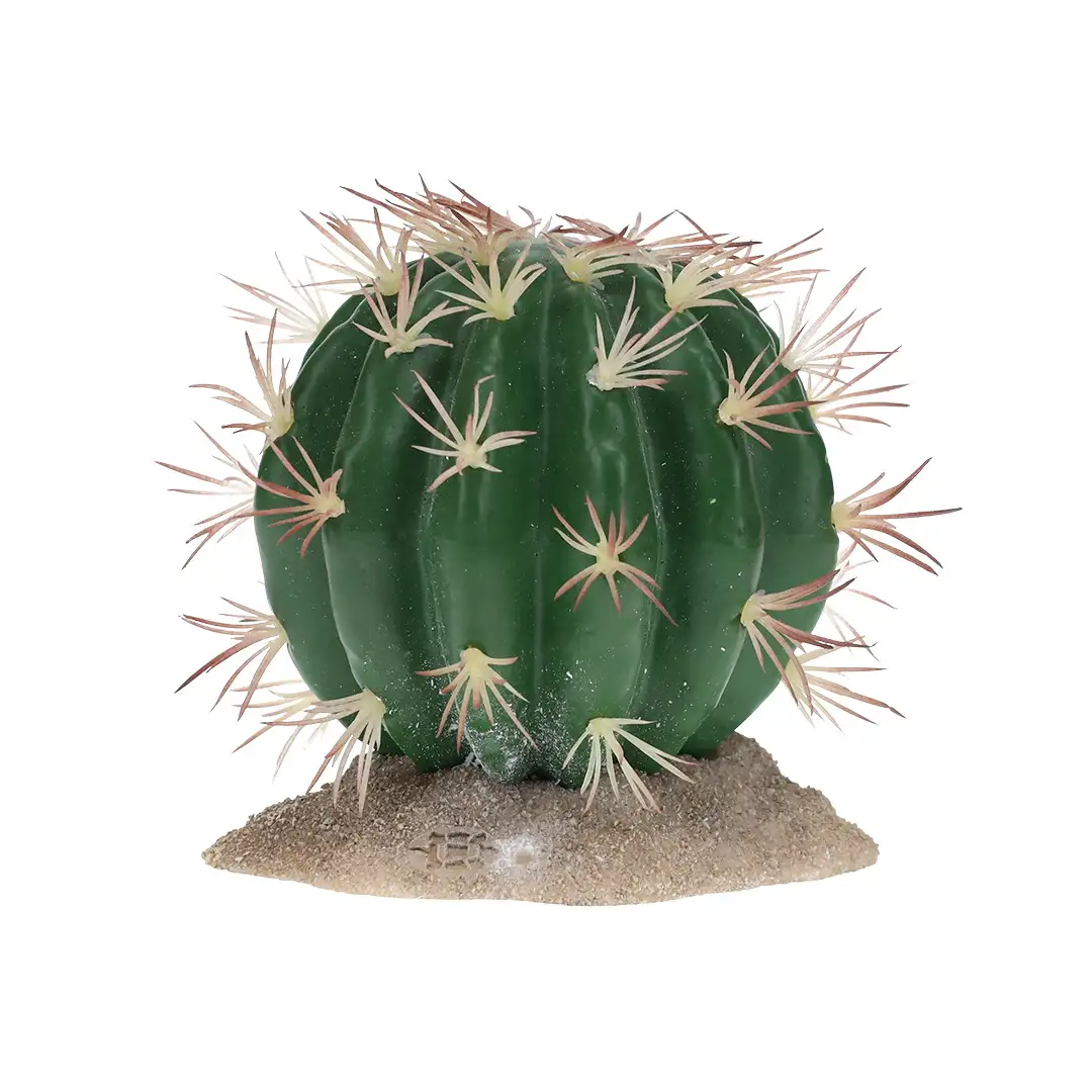 Terrarium Echinocactus groen