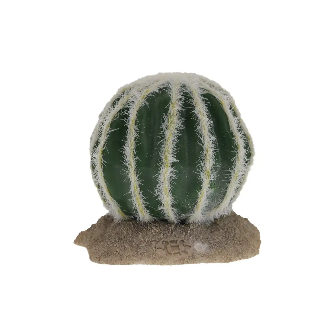 Terrarium Echinocactus groen - Afbeelding 3