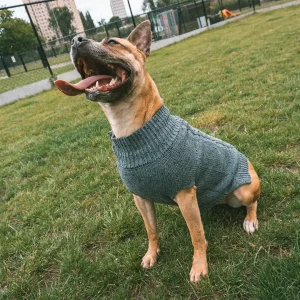 Hondensweater Cozy grijs
