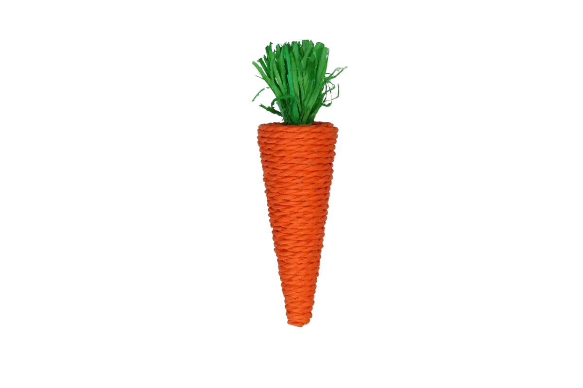 Pawise Play & Chew Carrot - Afbeelding 4