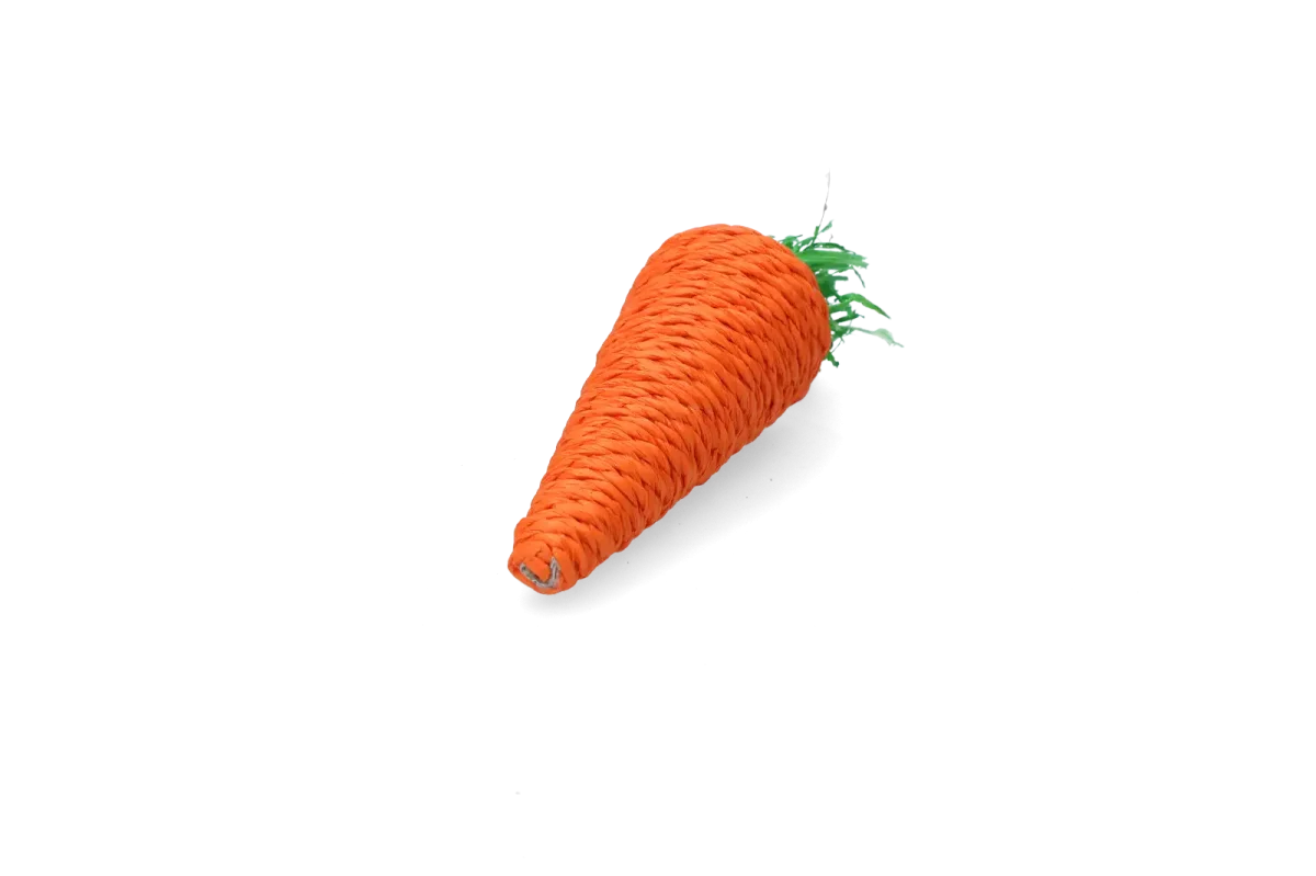 Pawise Play & Chew Carrot