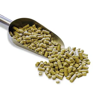 Pellets voor Papegaai Medium
