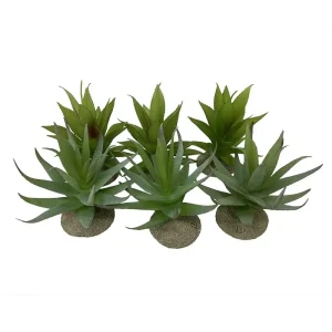 Kunstplant Aloë