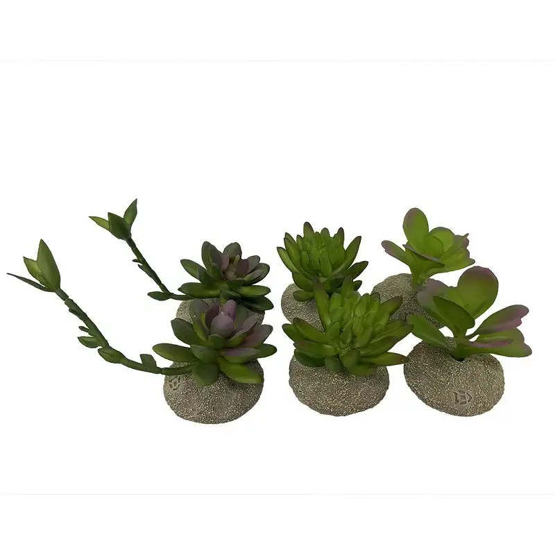 Kunstplant Succulenten - Afbeelding 2