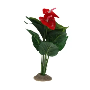 Terrarium Plant Anthurium groen